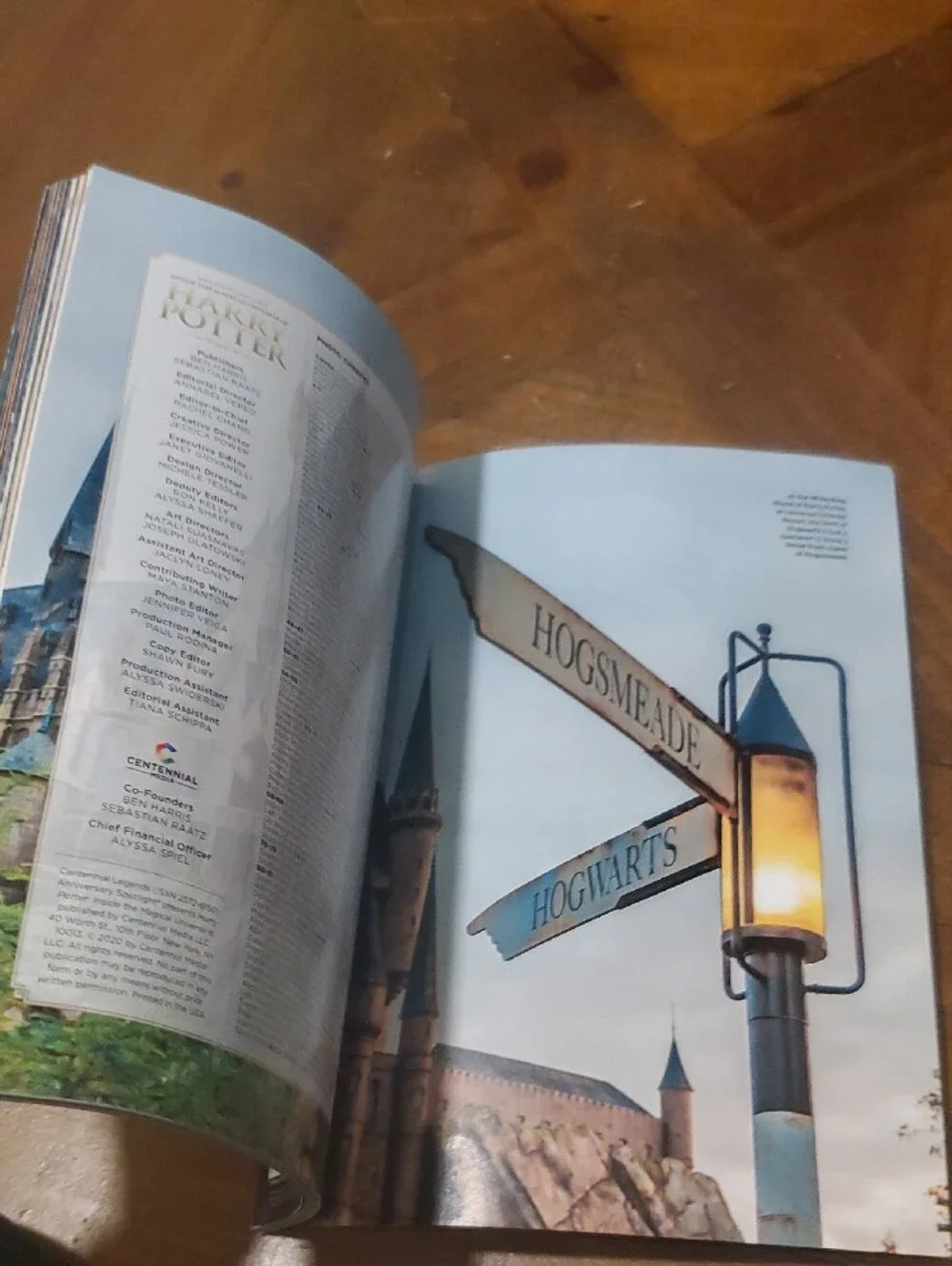 Warner Bros. Harry Potter Illustrated Guide Book - Blue and Gold